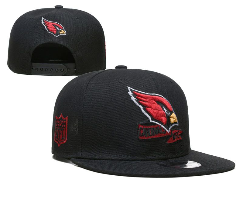 2022 NFL Arizona Cardinals Hat YS1020->nba hats->Sports Caps